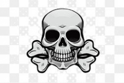 漫画骷髅头,揭秘生死轮回的神秘面纱